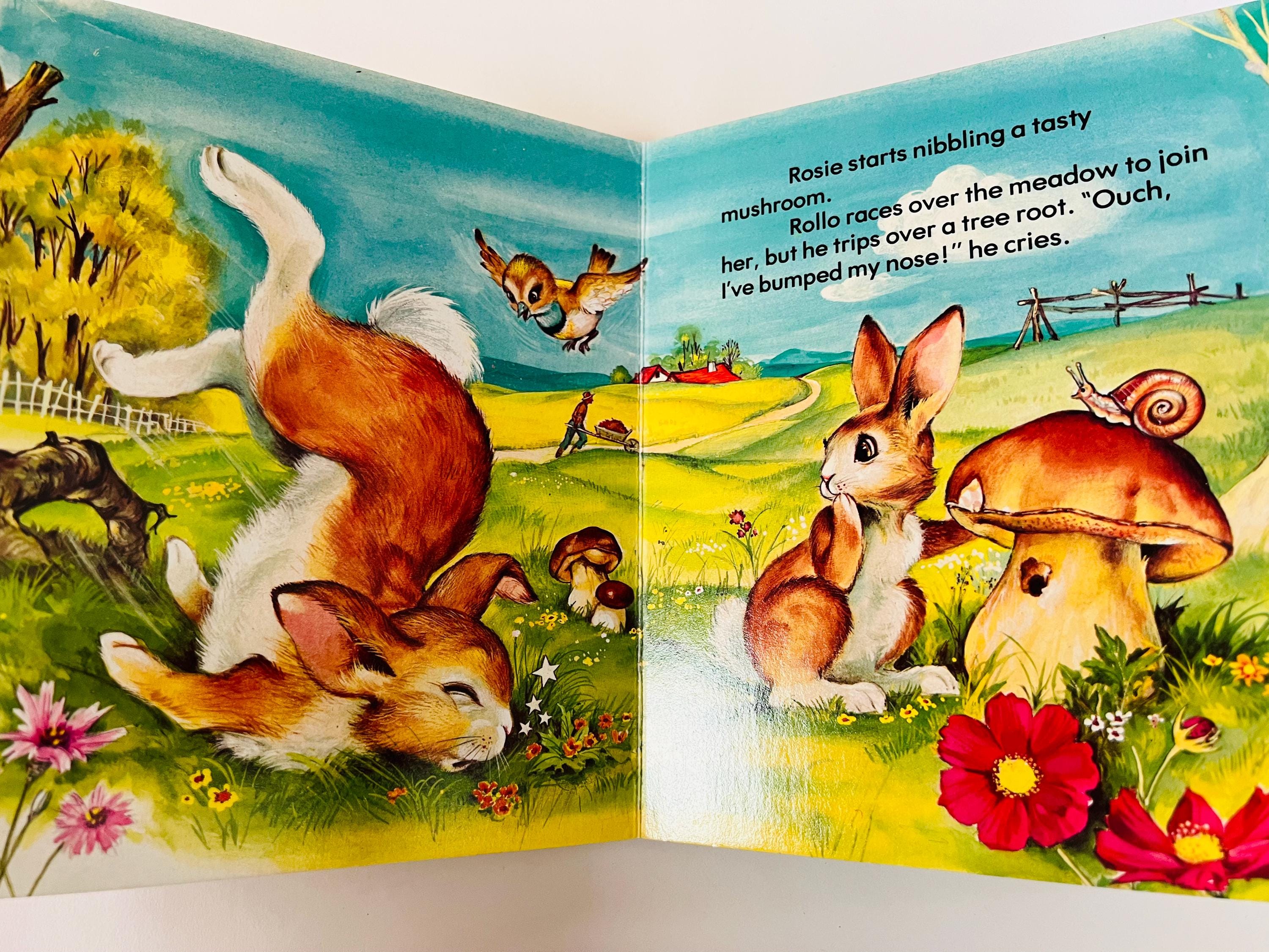 Meet The Rabbit Book Our Friends the Rabbits Vintage Hardboard Book Children's Picture ...
