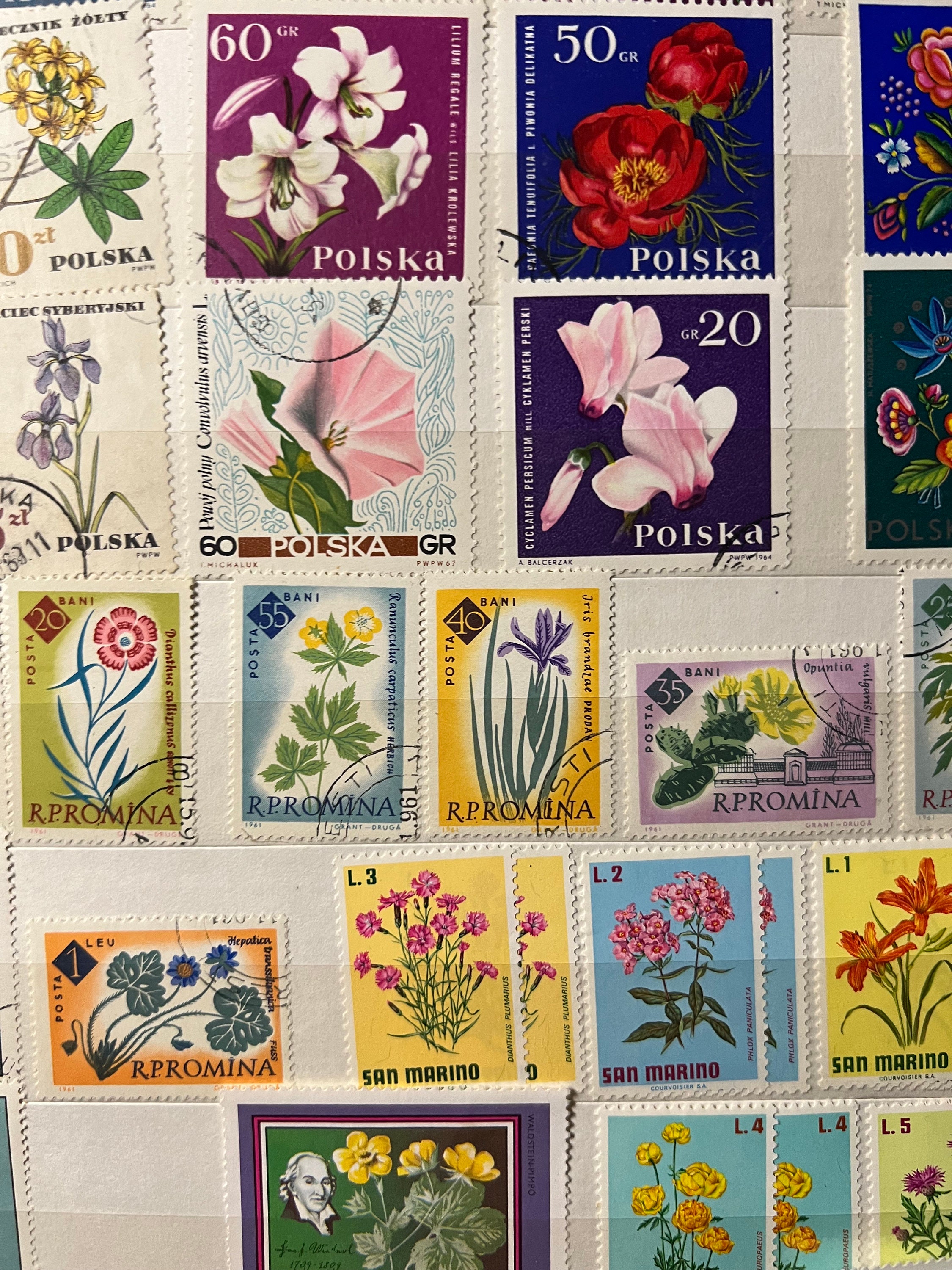 Tulips on Postage Stamps, Colourful Flower Stamps, floral postal stamp  card toppers for craft