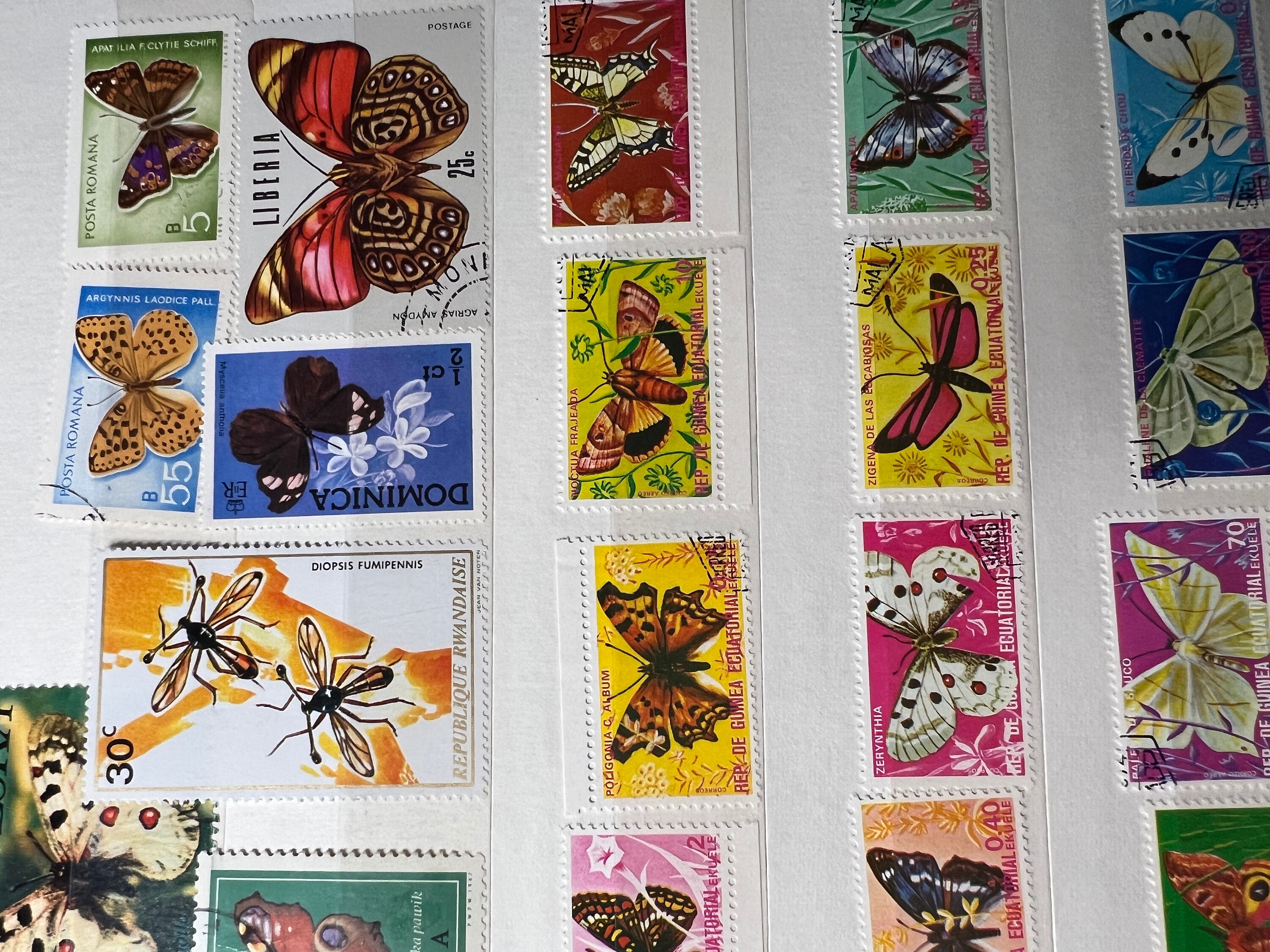 Topical African butterfly stamp adds a valuable piece to your collection