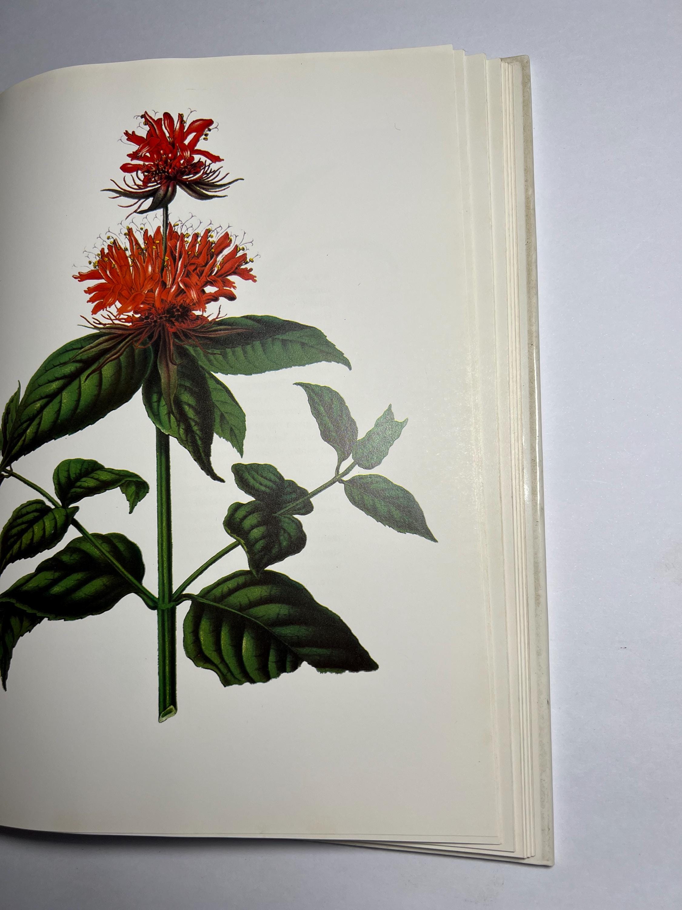 Vintage Botanical Art Book: Cultivated Flowers, 1979 Hardcover - Etsy