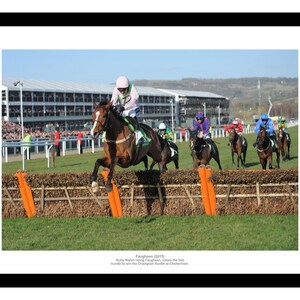 May include: A horse race at Cheltenham, with a jockey in a pink and green jacket leading the pack over the last hurdle. The horse is brown with a white blaze on its face. The jockey is wearing a white helmet and goggles. The other horses are in the background, with their jockeys in various colours.