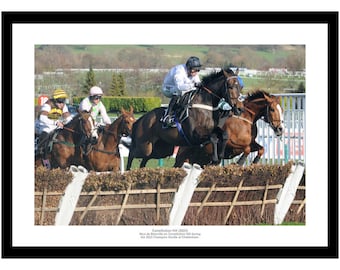 Constitution Hill 2023 Cheltenham Champion Hurdle Horse Racing Photo Memorabilia