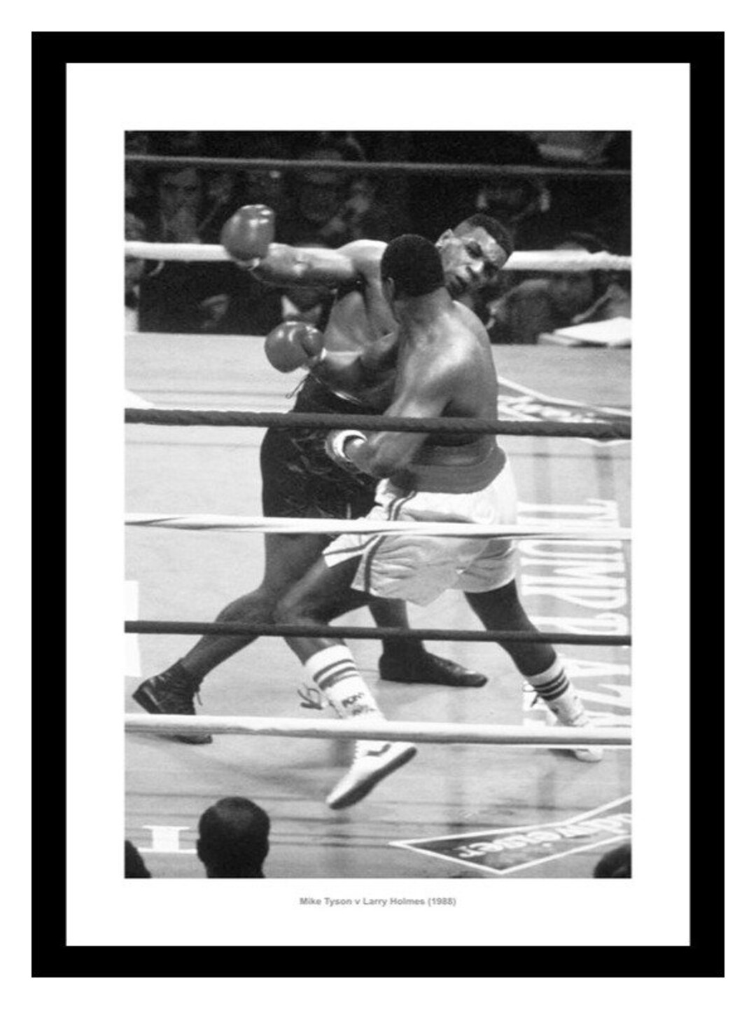 Tyson vs paul rogan