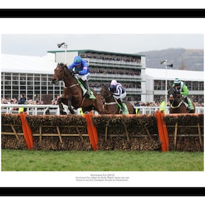 May include: A brown racehorse jumps over a fence with a jockey in a blue and green uniform. The horse is in mid-air, its legs extended. The jockey is leaning forward, his arms outstretched. The horse is racing in a field with a crowd of people in the background. The caption reads "Hurricane Fly (2013) Hurricane Fly ridden by Ruby Walsh clears the last fence to win the Champion Hurdle at Cheltenham."
