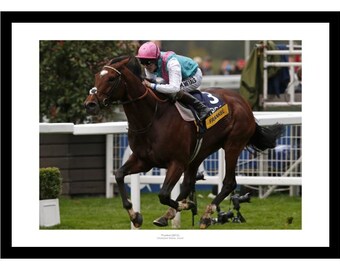 Frankel 2012 Champions Stakes Ascot Horse Racing Photo Memorabilia