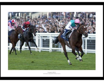 Frankel 2011 Queen Elizabeth II Stakes Photo Memorabilia
