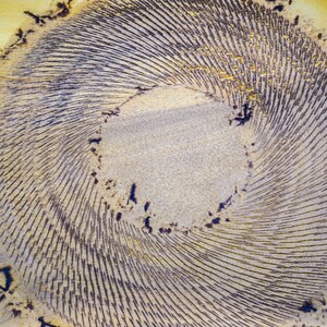 Puede incluir: Vista de cerca de un dise&ntilde;o circular abstracto con un patr&oacute;n en espiral. El centro es de color beige claro, rodeado de l&iacute;neas conc&eacute;ntricas en gris oscuro y negro. Los bordes exteriores tienen un tono amarillo-beige con acentos oscuros.