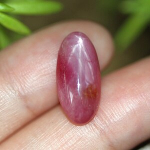 8.6 ct. Large Unheated/Untreated Burmese Star-Ruby Oval Cut Cabochon Gemstone set in Brass Holder Ring for Display