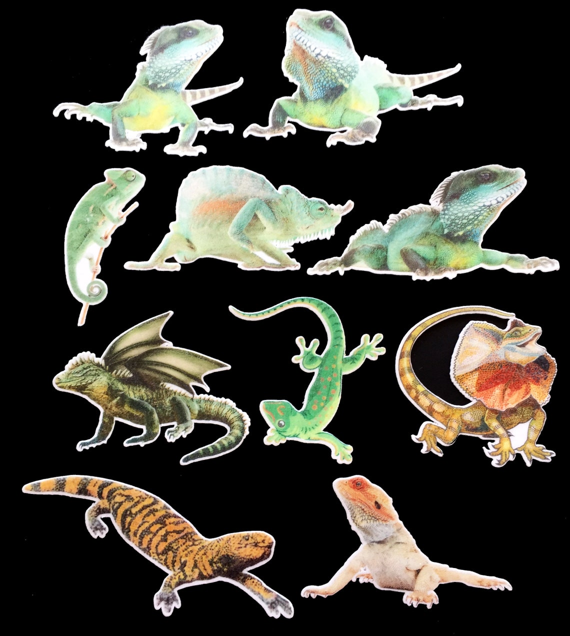Reptile Cake Decoration Cupcake Topper Birthday Wafer Etsy Israel reptile-cake-decoration-cupcake-topper-birthday-wafer-etsy-israel