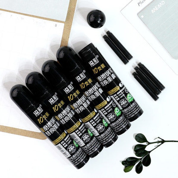 Dianshi ERASABLE Fountain Pen BLACK ink Cartridges