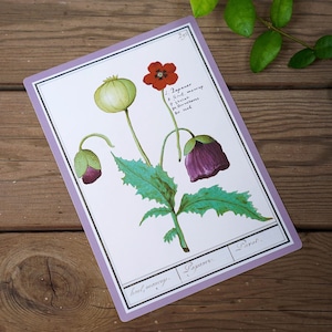 Papermood Flower tableau à crayons tableau marque-page sous-couche traçage aide à l'écriture tableau à crayons stylo PVC souple