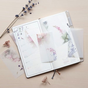 MU Lifestyle Apotheker TRÄUME Transparentpapier Transparentpapier Transparentpapier | DTP-013