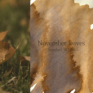 Dominante Industrie Tinte NOVEMBER LEAVES Standard Füllfederhalter Tinte Handgefertigte Dip-Pen Tinte Handgefertigte Flaschentinte | 25ml