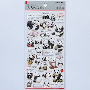 Kamio Japan Stickers PANDA BEARS Adult Visual Dictionary Baby Panda Baby Pandas GOLD Foil Stickers | 707286