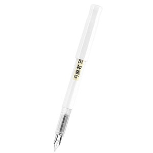 Dianshi ERASABLE Fountain Pen WHITE Barrel Fountain Pen Fine Nib | 0.5mm DS-996