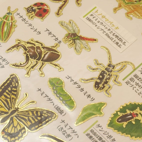 Kamio Japan Stickers Insect Stickers Adult Visual Dictionary Etsy