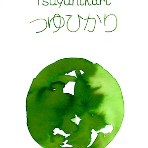BUNGUBOX Japan TSUYUHIKARI 光沢万年筆インク ディップペンインク ボトルインク | 30ml