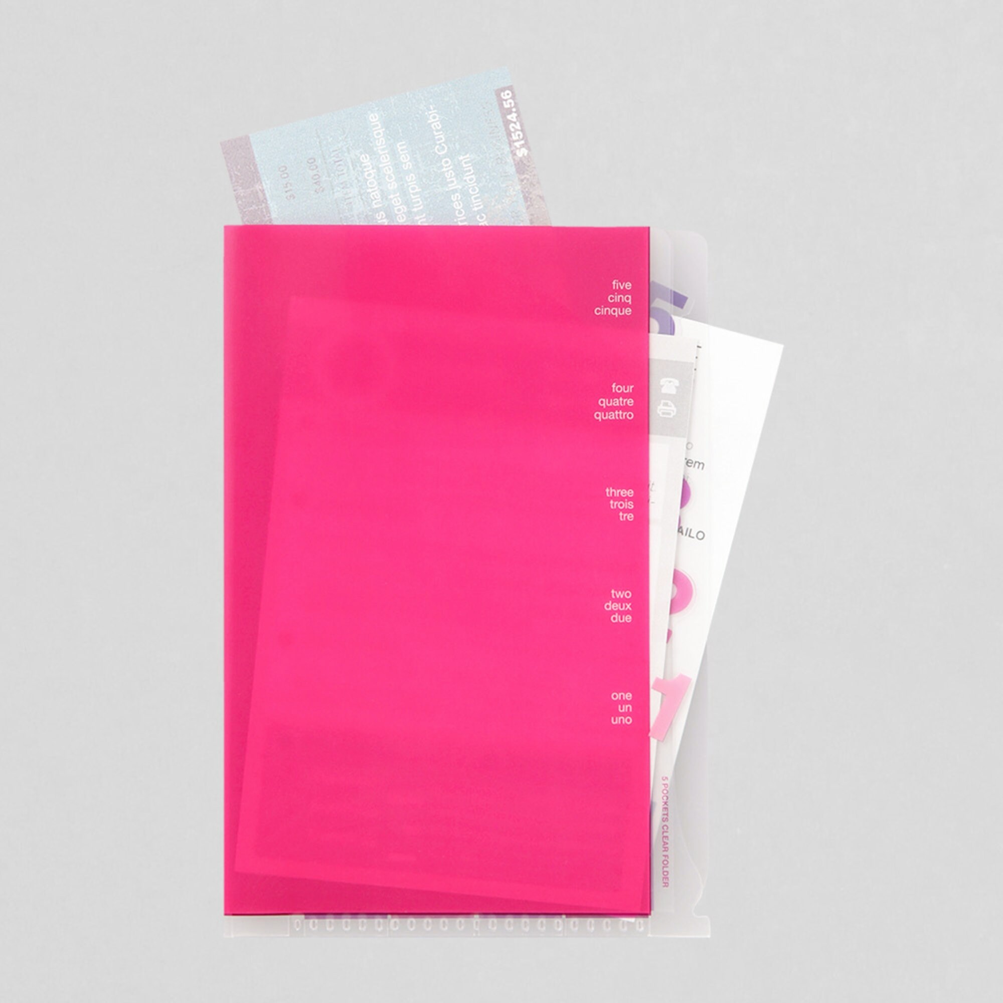 Midori MD A6 5 Pocket Clear Folder Pink - Etsy