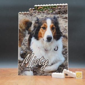 Custom Family Portrait Building Blocks
