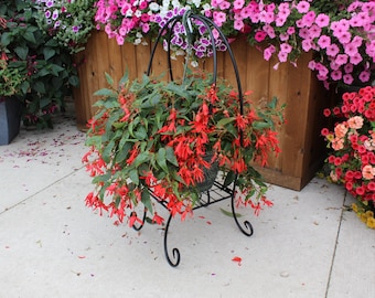 Hanging Stand for Plant/Lantern