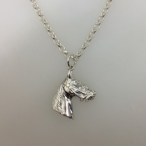 Puede incluir: Collar de plata con colgante de cabeza de caballo y cadena fina.