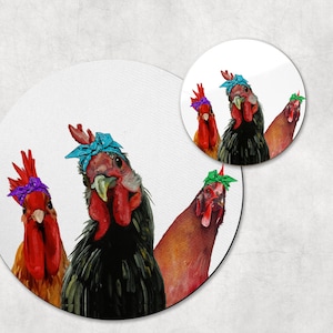 May include: Three chickens with colorful bandanas on their heads. The chickens are looking at the camera. The chicken on the left has a purple bandana, the chicken in the middle has a blue bandana, and the chicken on the right has a green bandana.
