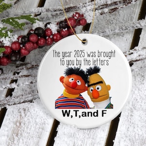 Funny WTF 2025 Christmas Ornament - 2025 Ornament - Christmas 2024 - Keepsake Gift