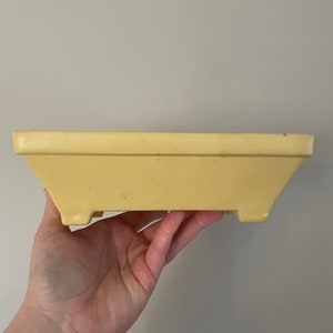 May include: A rectangular, pale yellow planter with a slightly tapered design. The planter is held by a hand, showcasing its shape and color. The planter has a simple, classic design, suitable for various plants.