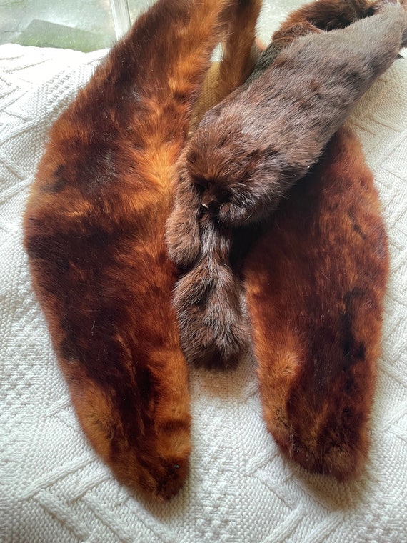 1950s vintage fox and mink stole collars