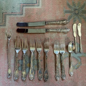 May include: A collection of silver-toned flatware including two dinner knives, one long slender fork, six dinner forks, one spoon, and two butter knives. Each piece features an ornate, embossed floral and fruit pattern on the handle.