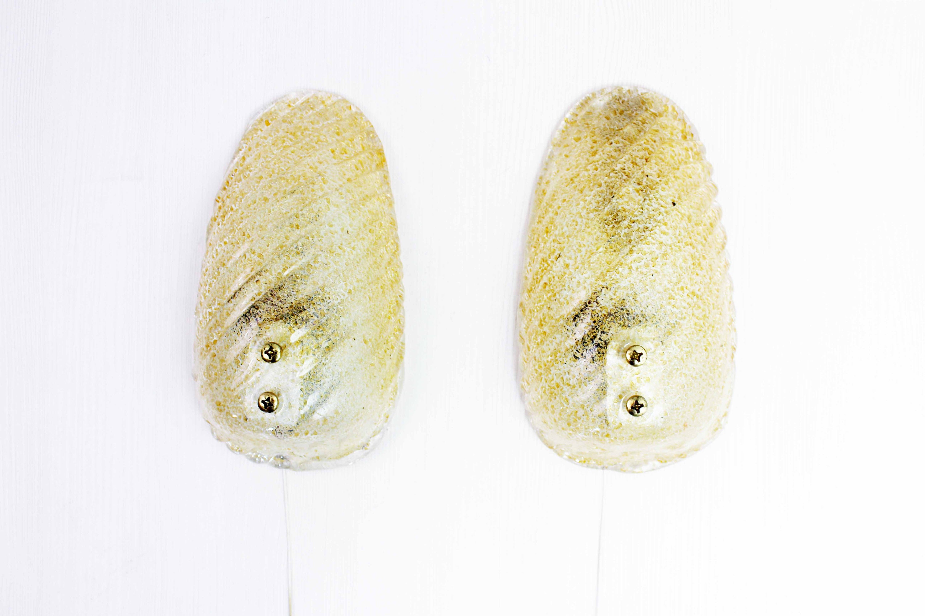 Paire d'appliques Murales Hillebrand Années 60