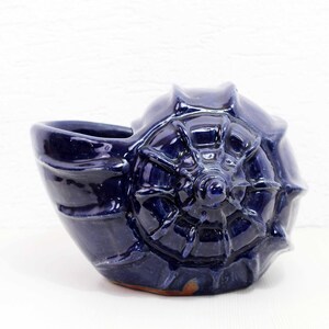 May include: A blue ceramic seashell planter with a detailed, textured design. The planter is perfect for adding a touch of coastal charm to any home.
