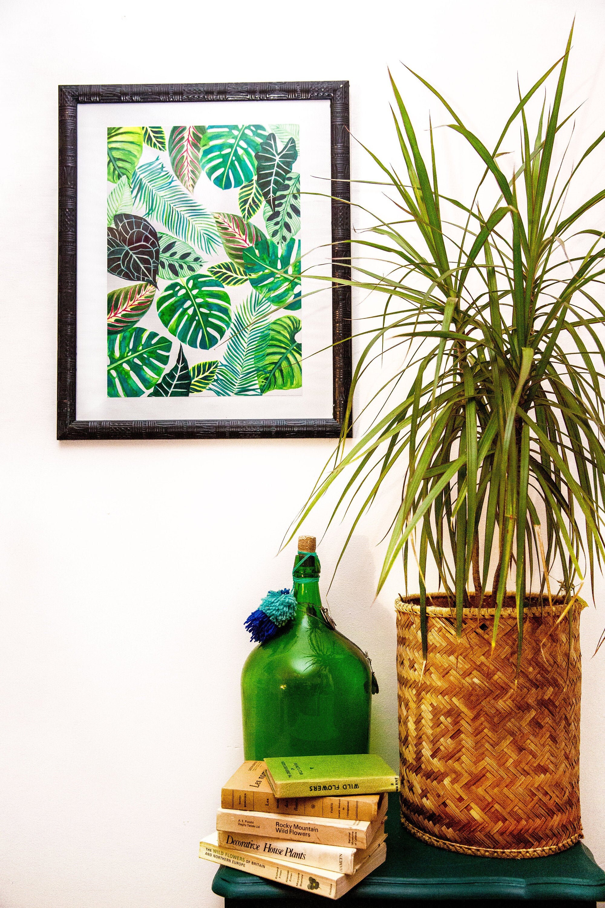 Illustration Tropical Foliage