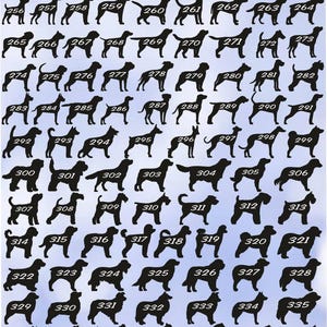 Peut inclure: Une image en noir et blanc de 42 races de chiens diff&eacute;rentes, num&eacute;rot&eacute;es de 256 &agrave; 342. L'image est sur un fond bleu clair avec des empreintes de pattes blanches.