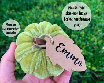 以下が含まれることがあります： 「Emma」と書かれた茶色の紙の葉のタグが付いた、小さな緑色のベルベットの南瓜。