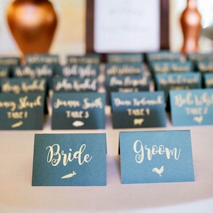Peut inclure: Deux cartes de table bleues avec des lettres blanches. La carte de gauche dit "Bride" avec une ic&ocirc;ne de carotte. La carte de droite dit "Groom" avec une ic&ocirc;ne de coq.