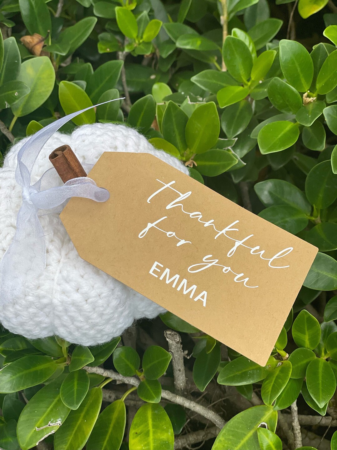 Thanksgiving Place Card Thanksgiving Name Card Tags Etsy