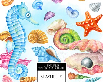 Watercolor seashells clipart PNG. Summer sea vibe. Vacation season PNG. Ocean cruise, sea travel, exotic beach, ocean treasures fantasy set.