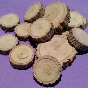 May include: A collection of small, round wooden slices with natural bark edges. The slices are various sizes and have a light brown colour with visible wood grain.