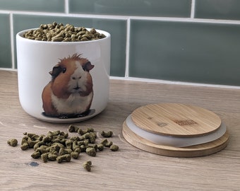 Guinea pig treat jar, guinea pigs, guinea pig gifts, guinea pig lover