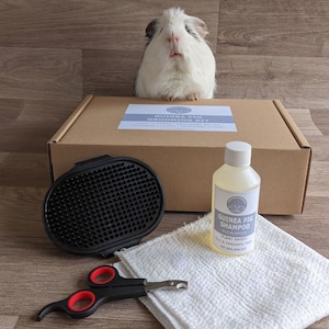 Guinea Pig Grooming Kit, Guinea Pig Accessories, Guinea Pig Care, Guinea Pig Lover, Guinea Pig Shampoo, Guinea Pig Gifts