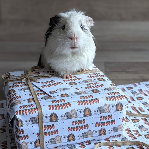 Guinea Pig Birthday Gift Wrap Wrapping Paper and Gift Tag Set Etsy