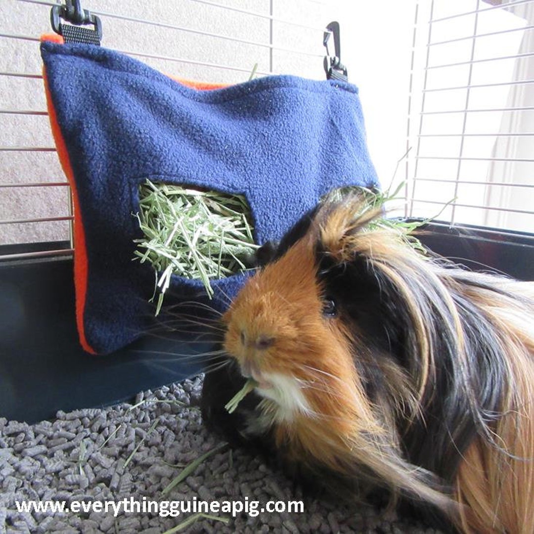 View of Guinea Pig Hay Feeder, Guinea Pig Fleece, Guinea Pig Bed, Guinea Pig ...