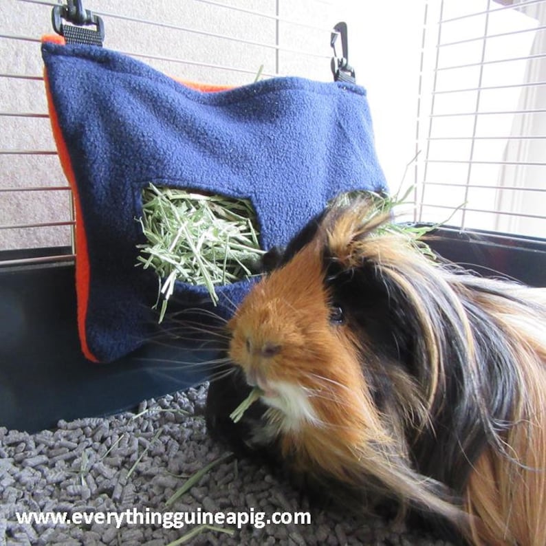 May include: A guinea pig eats hay from a blue and orange fleece hay feeder hanging in a cage. The feeder has a small opening for the guinea pig to reach the hay.