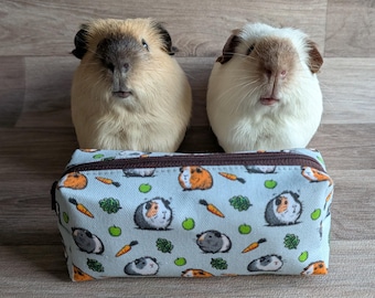 Estuche para lápices de cobaya