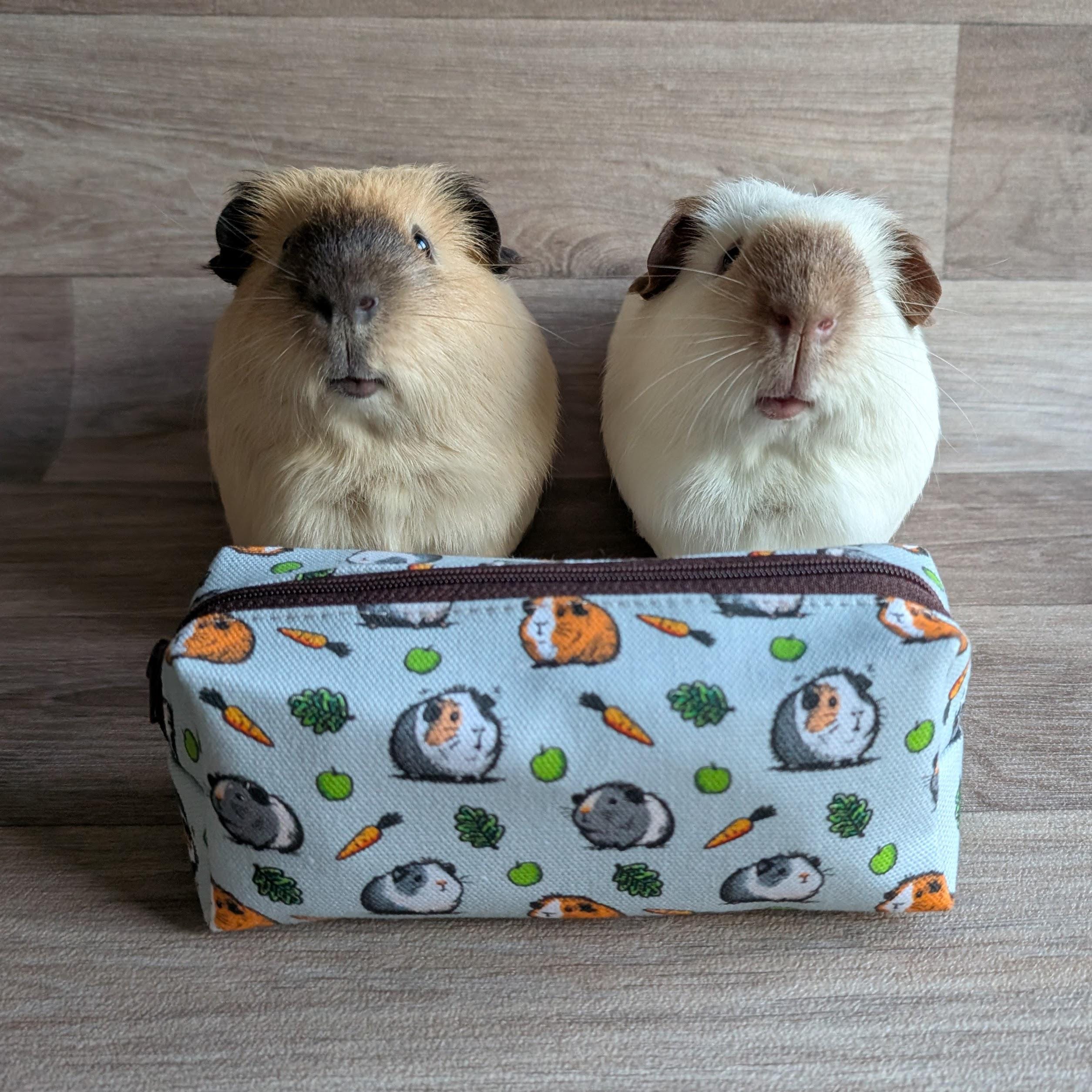 18 Crochet Pencil Case Patterns with Box Pouches, Wristlets, and Holders 9 Guinea Pig Pencil Case