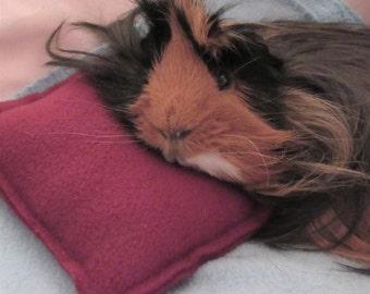 Guinea Pig Pillow Set, Guinea Pig Accessories, Guinea Pig Products, Guinea Pig Lover, Gifts for Guinea Pigs, Guinea Pig Fleece