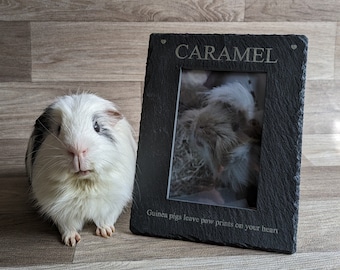 Personalised Guinea Pig Photo Frame, Personalised Picture Frame, Guinea Pig Gifts, Guinea Pig Lover, Personalised Photo Frame Engraved Frame