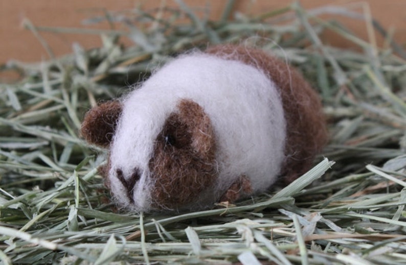 Needle Felted Guinea Pig Craft Kit doris Brown & White Etsy UK
