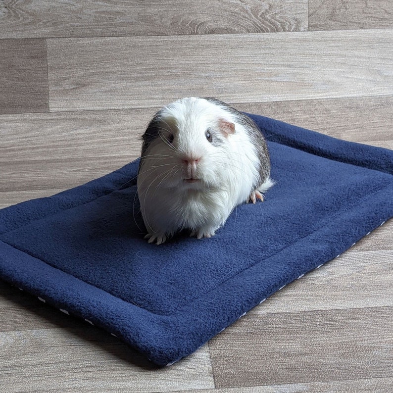 Guinea Pig Waterproof Lap Pad blue Etsy
